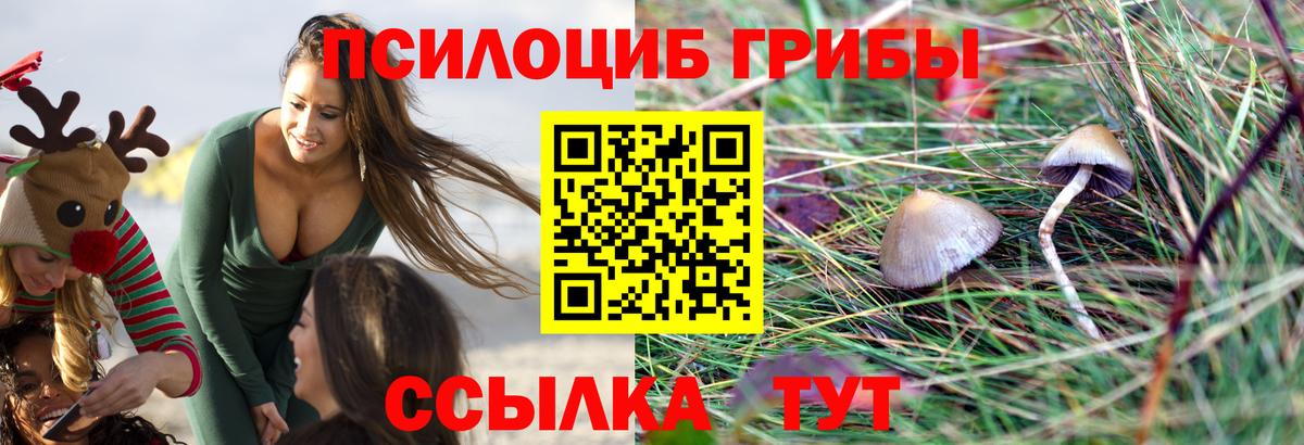 Псилоцибиновые грибы прущие грибы Славгород